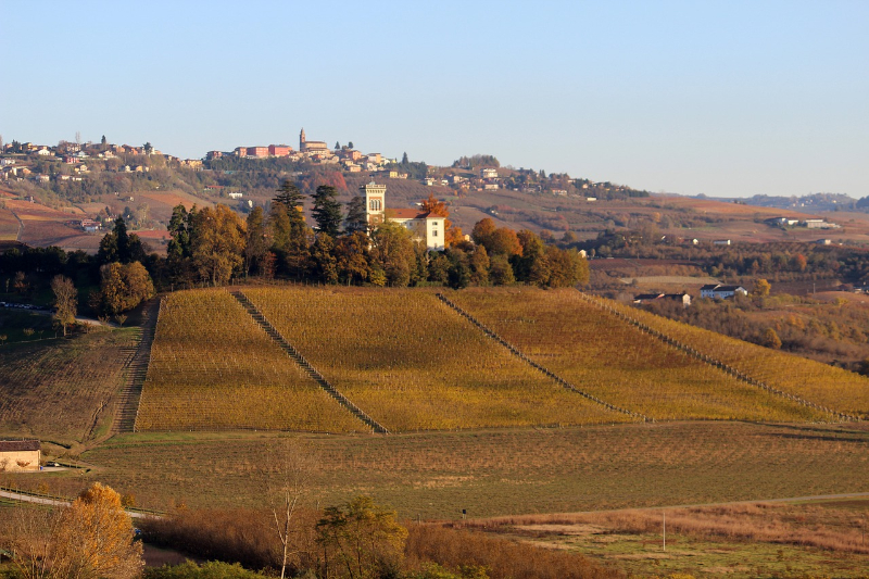 barolo kráľ vín