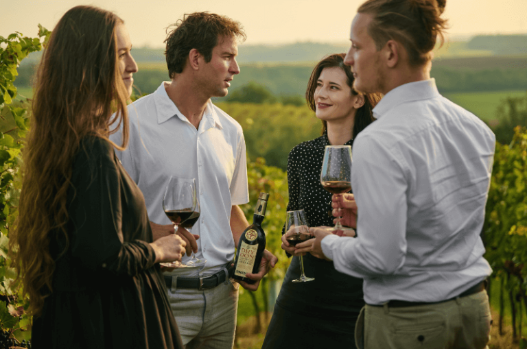 skupina priateľov pije víno vo vinici