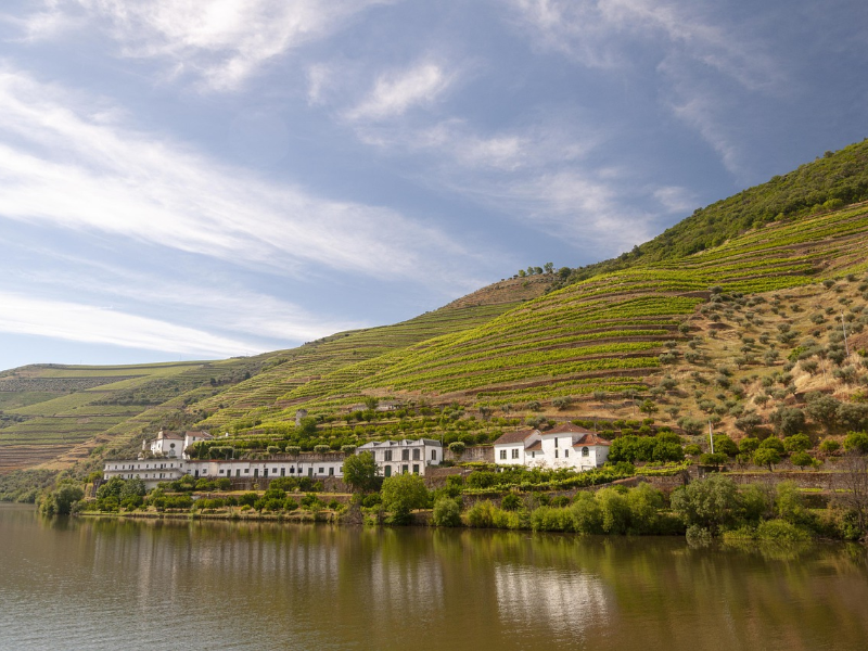 Douro, domov portského;