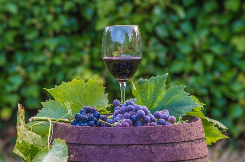 Kyslosť vína je jedným z najdôležitejších aspektov jeho chuti.