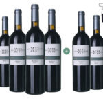2006 Noray Roca de les Dotze